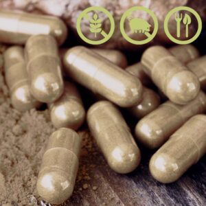 Cordyceps Mushroom Capsules